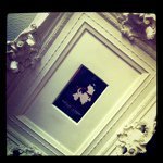 takahisa_seno's profile picture. 法人経営、商品開発、店舗開発、国内外バイイング、店舗設計などなど。