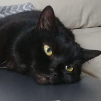 John Bishop (@johnbishop_ow) 's Twitter Profile
