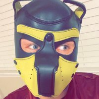 *KiNkY cUb (@kinkycub3) 's Twitter Profile