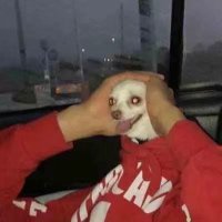 🤡 (@catfishking0227) 's Twitter Profile Photo
