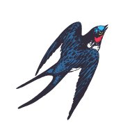 Philip Swift (@positivecrypto) 's Twitter Profile Photo Philip Swift (@positivecrypto) 's Twitter Profile Photo
