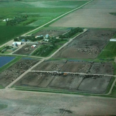 First generation cattle feeder/trucker/wannabe farmer. Cancer Survivor Husband Father to 2 kids. Living the “dream” in South Dakota