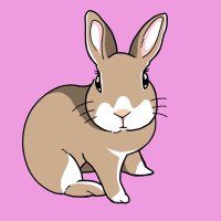 チョパ🐰チョコ🐰日記(@choparion) 's Twitter Profile Photo