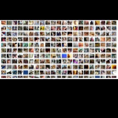 bobjohn83908562's profile picture. LINK IN BIO FOR FREE LEAKS