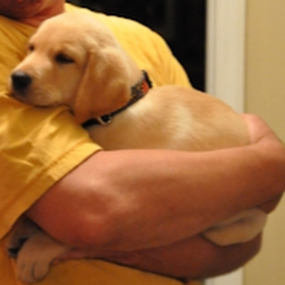 Mason64920392's profile picture. 