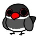 ブンタロウ (@akbunnta) 's Twitter Profile