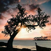 تركي القرني . (@turki_abdullh12) 's Twitter Profile