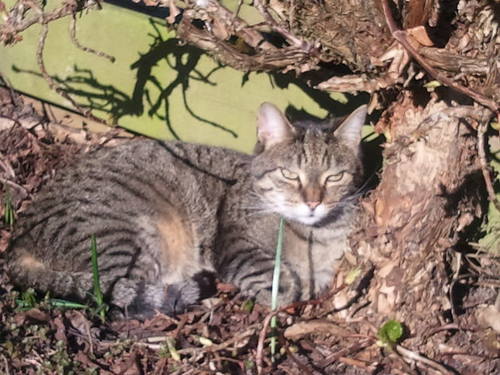 klaver1969's profile picture. 