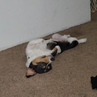 GLOVEDROPPER21 (@glovedropper21) 's Twitter Profile