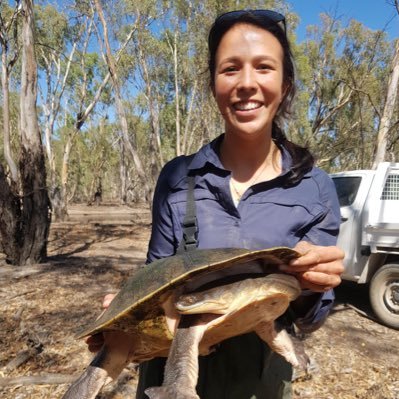 PhD candidate at LTU studying Aust. freshwater turtles🐢| Passionate about all things herpetology, ecology and conservation | 📸Insta: ang_wild.life