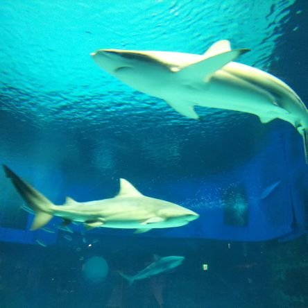 megane220323's profile picture. 投資初心者🔰国内旅行が好きな一般年収の平社員が株式投資でセミリタイアを目指しています。新NISA/高配当株/投資信託/ETF/デイトレ引退/スイング
趣味:懸賞/旅行/温泉/競艇/ゴルフ※無言フォロー失礼します。もちろん無言フォローOKです。