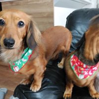 齋藤三郎 (@lj6n11t3smtcdg9) Twitter profile photo