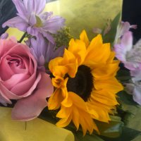 SunflowerLover (@msadukeninja) 's Twitter Profile