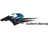 gulbertiracing's profile picture. Thoroughbred racehorse trainer located in West Pinjarra.