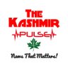 TheKashmirPulse's profile picture. Uncover untold stories with The Kashmir Pulse. Bold journalism. Authentic insights. Amplifying unheard voices. Every word resonates. Every pulse reveals truth.