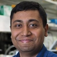 Debasis Das Lab (@ddlab_tifr) 's Twitter Profile Photo Debasis Das Lab (@ddlab_tifr) 's Twitter Profile Photo