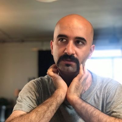 خنک آن قماربازی، که بباخت هرچه بودش / و نماند هیچش الا، هوس قمار دیگر