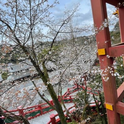 yanchan0110's profile picture. 20↑よむのすき