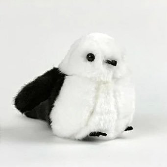 HANEOLさんのプロフィール画像