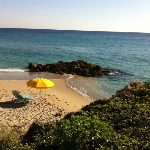 sunshinesparty's profile picture. Stay positive, it's all part of the plan.