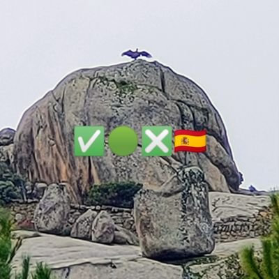 SilviaF36420226's profile picture. Natural de España