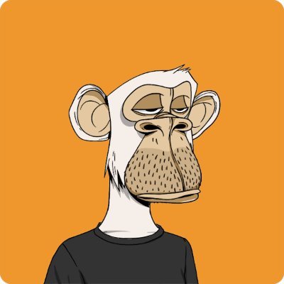 mysuperlama's profile picture. Démocrate, humaniste et patriote
