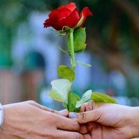 Ruchi Nishad (@nishad4_ruchi) 's Twitter Profile