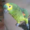 jacinto sousa - @jacintosousapb - Twitter