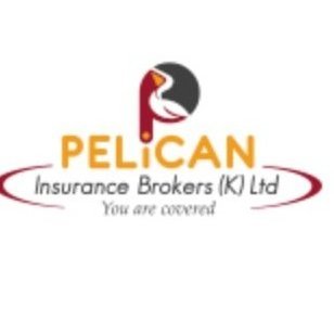 We as Pelican Insurance aim at raising the bar in the insurance industry by providing exceptional services to our clients based on their needs and expectations