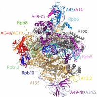 Tornero Lab (@tornerolab) 's Twitter Profile Photo Tornero Lab (@tornerolab) 's Twitter Profile Photo