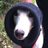 Itheeglenn's profile image