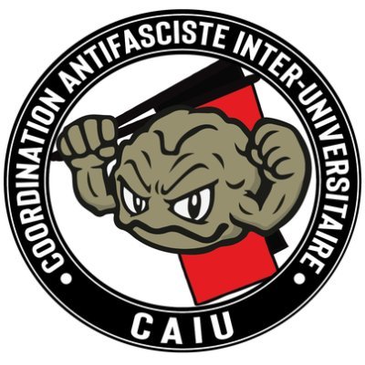 💥 Coordination Antifasciste Inter-Universitaire (Paris-Banlieue). Contre le désastre électoral, organisons-nous ! 👊