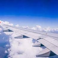 bluebird7171's profile picture. 