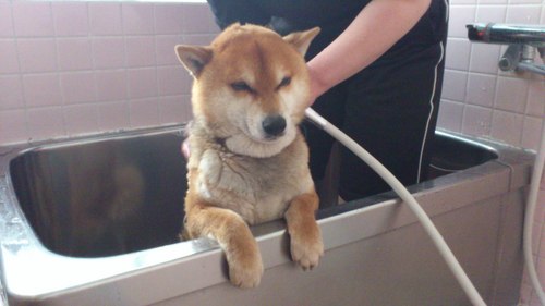 よろしくお願いします～(^-^)/