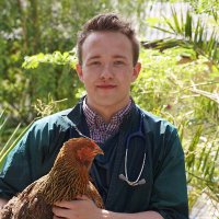 Rob Campbell (@robveteducation) 's Twitter Profile
