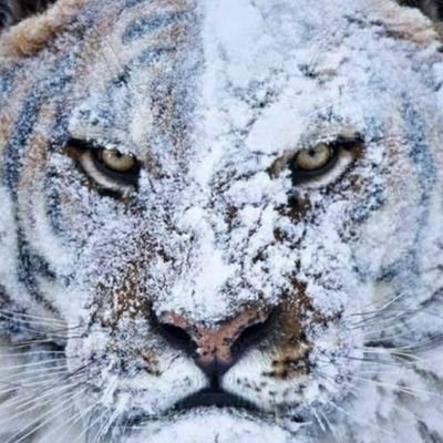 Al3tls506's profile picture. 