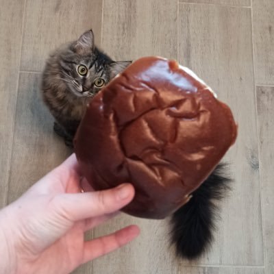 mitikatika's profile picture. 