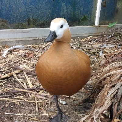 sanoさんのプロフィール画像