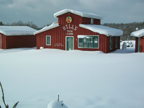 Hill's Christmas Tree Farm is a family owned and operated Choose and Cut tree farm.