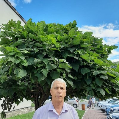 MELINTESTEFAN1's profile picture. 