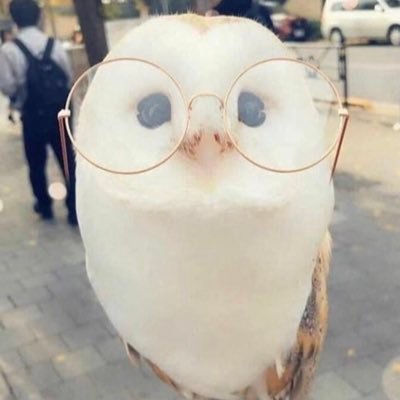 dwt_ge's profile picture. 最強最高