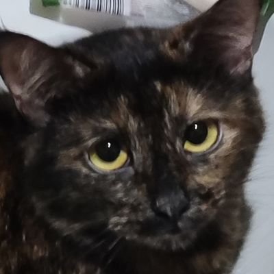 _2Yota_'s profile picture. 