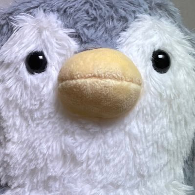 pokerpoker321's profile picture. #ポーカー