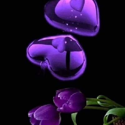 ahmdmhmdyn9's profile picture. 