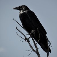 4BeatGrace (@4beatgrace) 's Twitter Profile