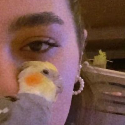 D_vs_L's profile picture. أنا