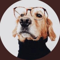 Bams (@bamsagain) 's Twitter Profile