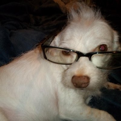 guitar_vet's profile picture. Born and raised on the RIGHT SIDE of morality. Right is right and wrong is wrong, every sane person has the ability to know the difference. An American Patriot.