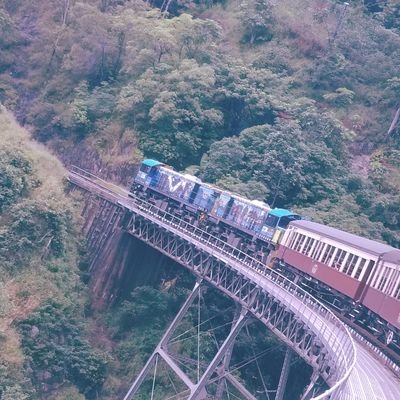 2f0MOvPa1pabd0O's profile picture. ロボコニスト0歳児 🌙関学 工 知能 新3年