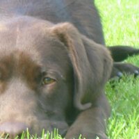 Noreen Galvin (@noreengalvin) 's Twitter Profile